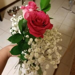 Gallery Photo 37