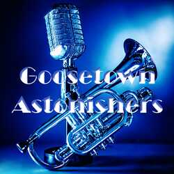 Goosetown Astonishers Dixieland Band, profile image