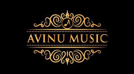 Avinu Music  DJs - The Knot