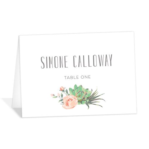 Pastel Succulents Place Cards