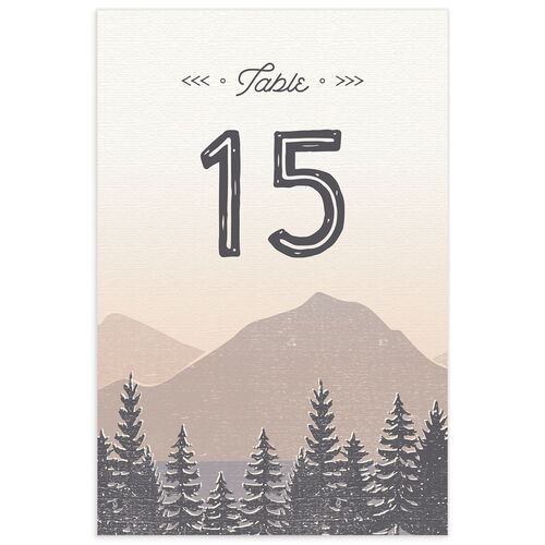 Rustic Mountain Table Numbers