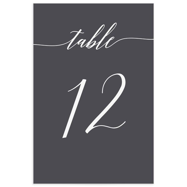 Modern Calligraphy Table Numbers back in Silver