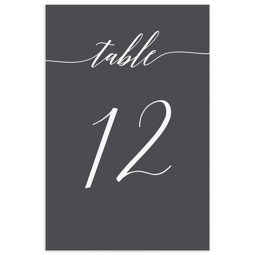 Modern Calligraphy Table Numbers - Silver