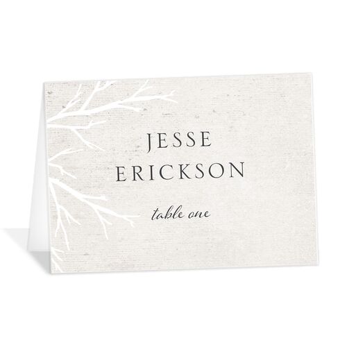 Winter Rustic Place Cards