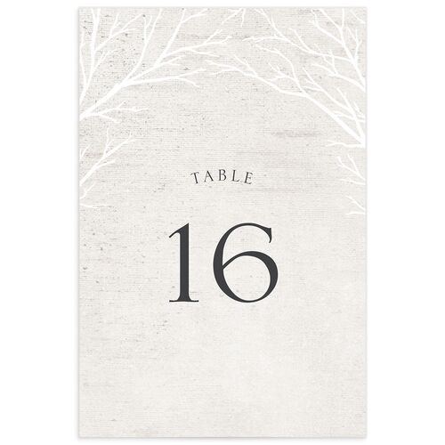 Winter Rustic Table Numbers
