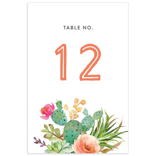 Painted Succulents Table Numbers