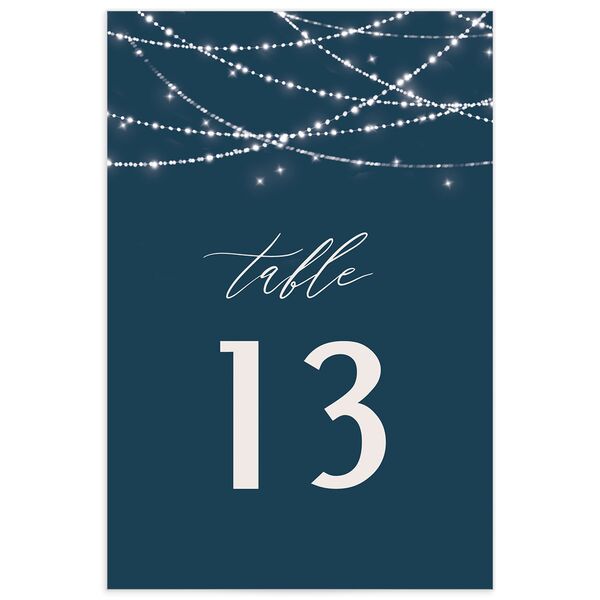 Hanging Lights Table Numbers front in French Blue
