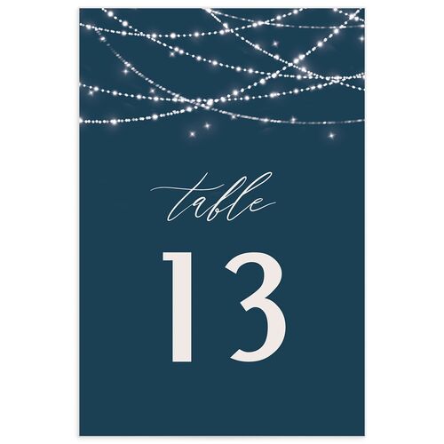 Hanging Lights Table Numbers