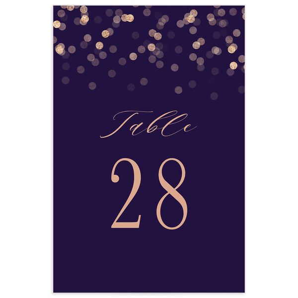Confetti Glamour Table Numbers front in Jewel Purple
