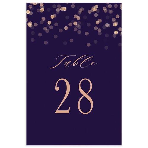 Confetti Glamour Table Numbers