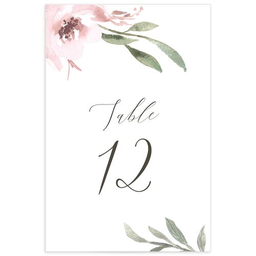 Breezy Botanical Table Numbers