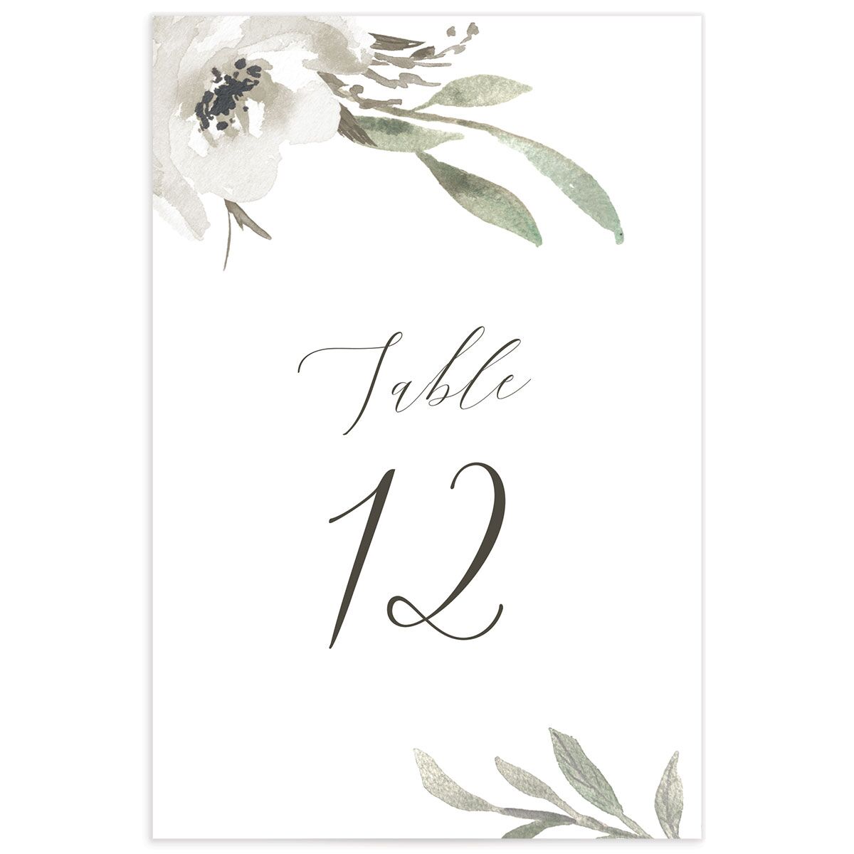 Breezy Botanical Table Numbers front in White