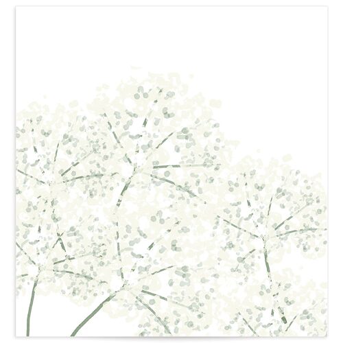 Earthy Flora Envelope Liners - Pure White