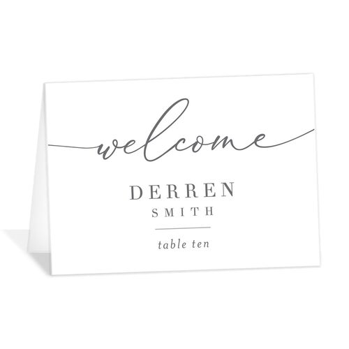 Elegant Calligraphy Place Cards - Silver