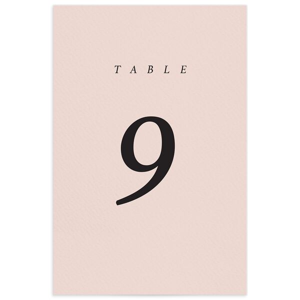 Modern Chic Table Numbers front in Rose Pink