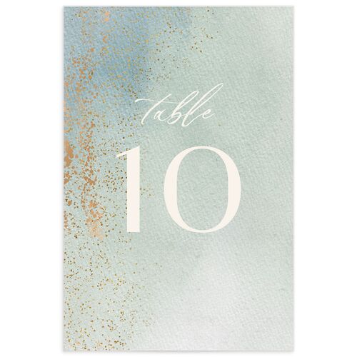 Watercolor Droplet Table Numbers