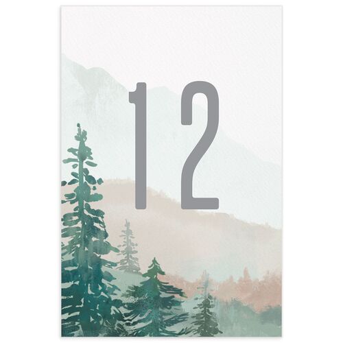 Mountain Canvas Table Numbers