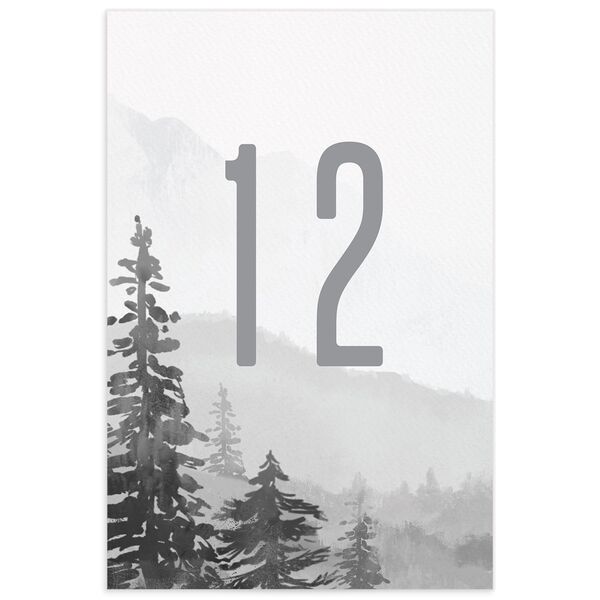 Mountain Canvas Table Numbers back in Silver