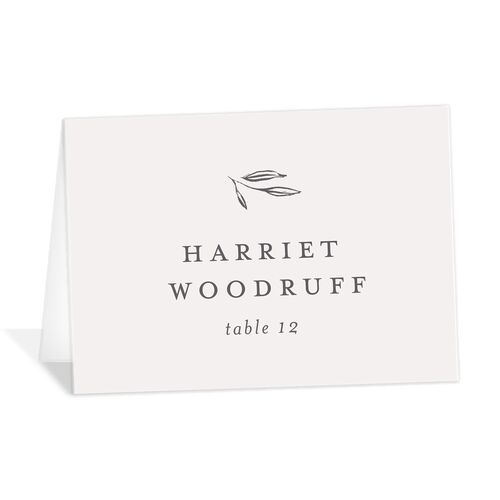 Simply Timeless Place Cards - Silver
