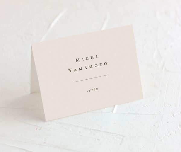 Classic Palette Place Cards front in Rose Pink