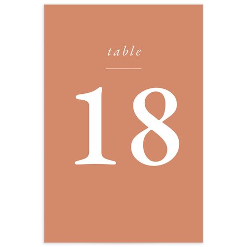 Spanish Mosaic Table Numbers