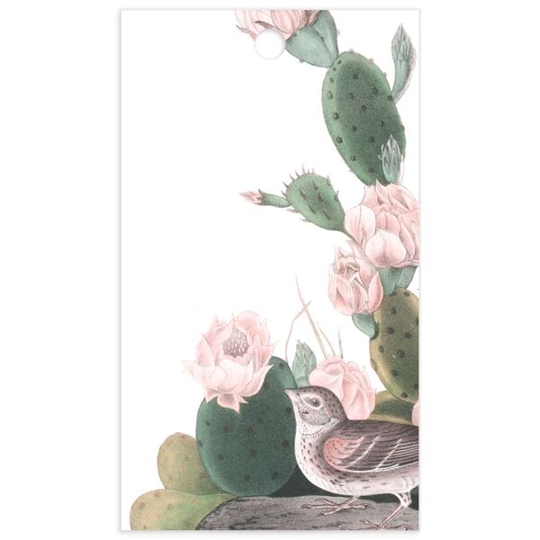 Cactus Blossom Favor Gift Tags back in Pure White
