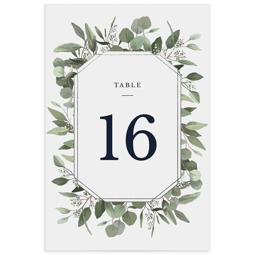 Painted Eucalyptus Table Numbers