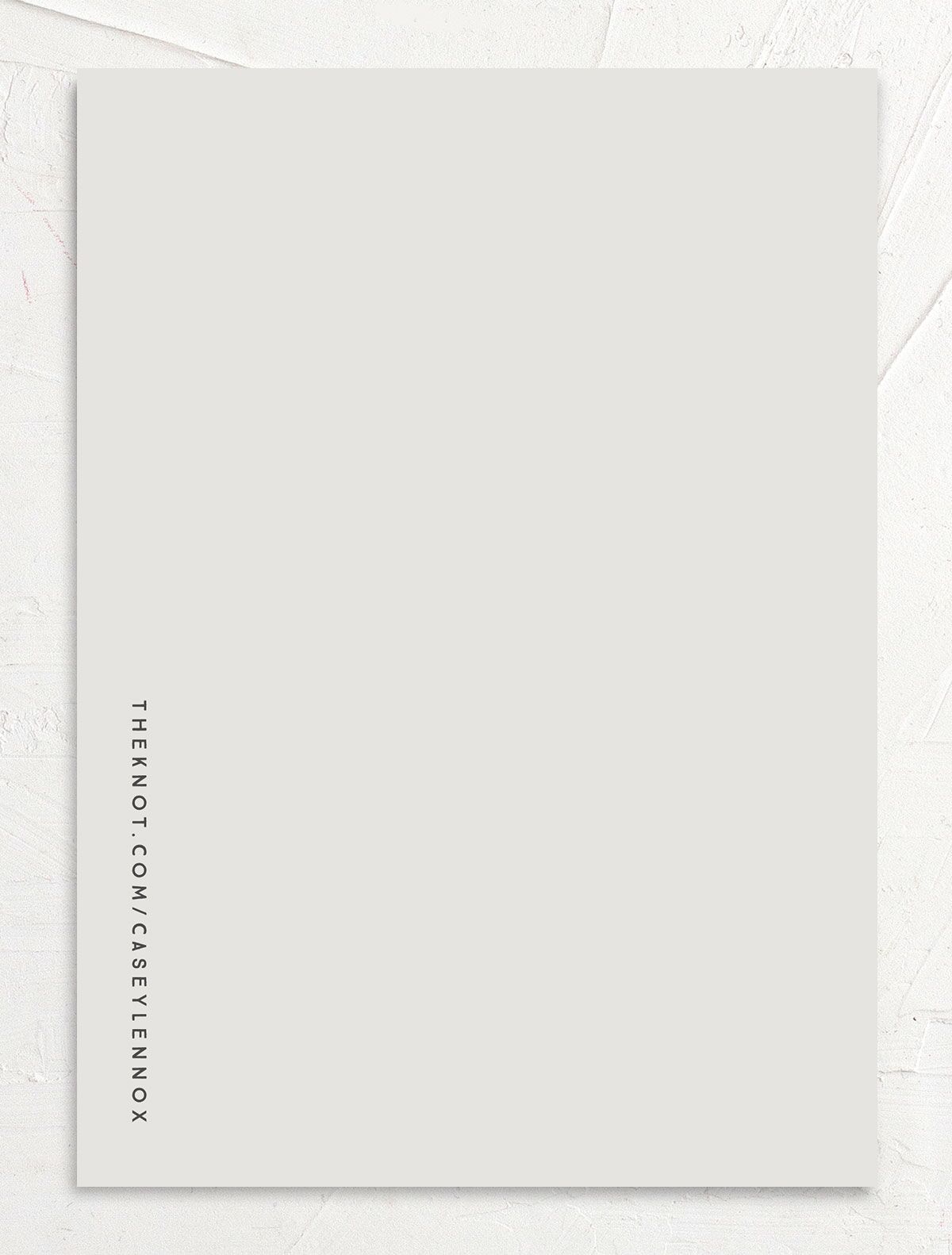 Minimalist Photography Rehearsal Dinner Invitations back in Silver