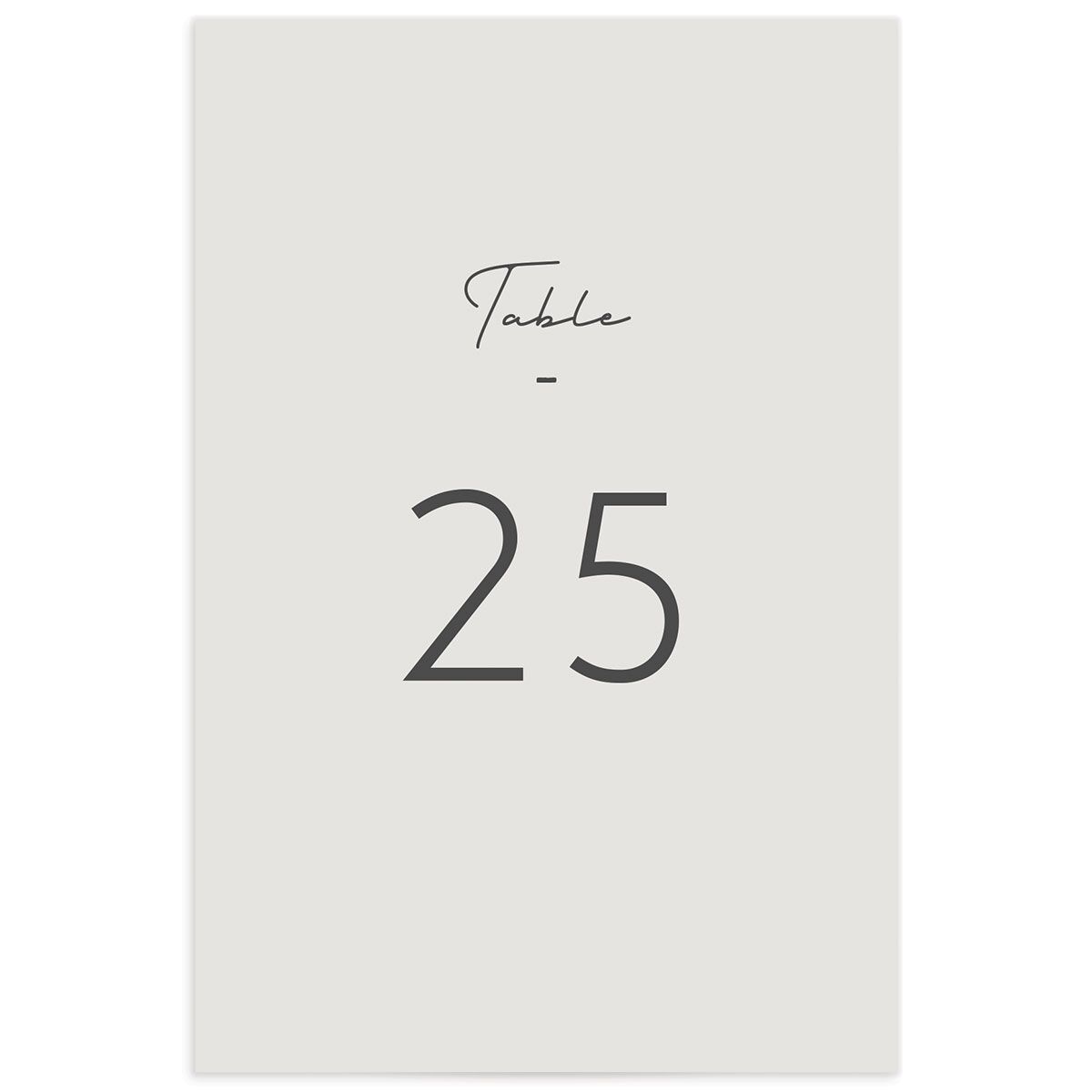 Minimalist Photography Table Numbers back in Silver