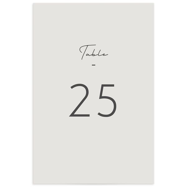 Minimalist Photography Table Numbers front in Silver