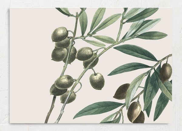Mediterranean Olive Save the Date Cards back in Champagne
