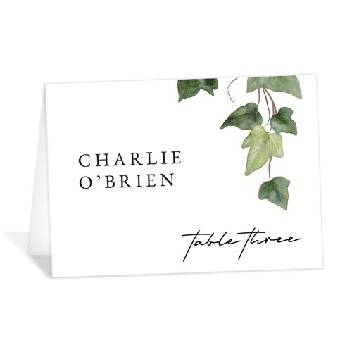 Elegant Ivy Place Cards - Pure White