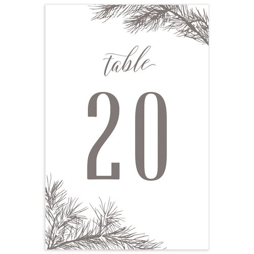Playful Evergreen Table Numbers