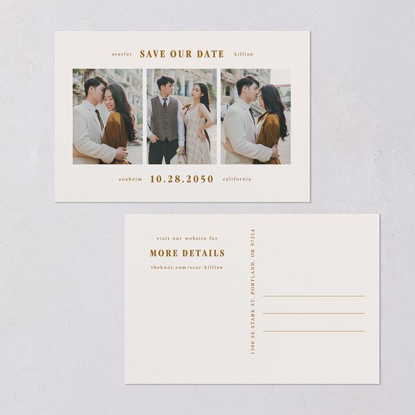Elegant Minimalist Photo Save the Date Postcards Saddle