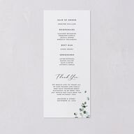 Modern Eucalyptus Wedding Programs Pure White Signature