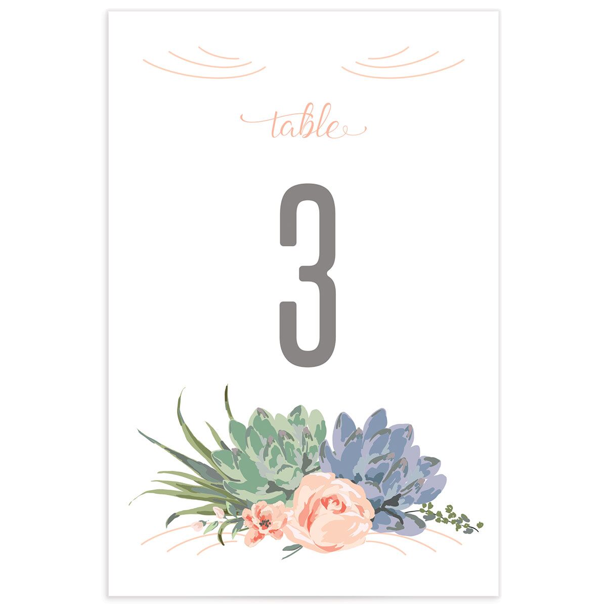 Romantic Succulents Table Numbers