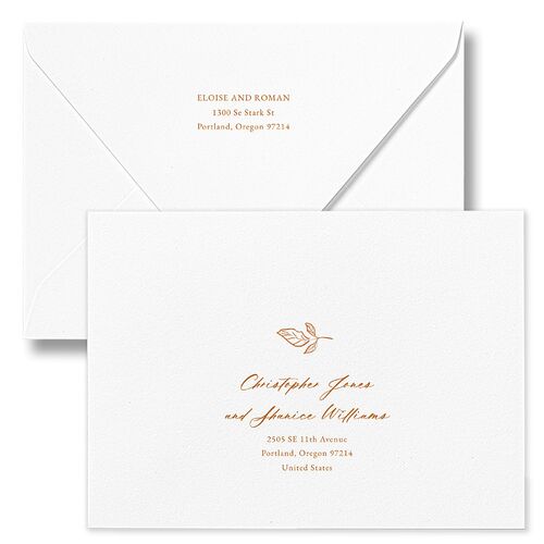 Vintage Botanical Sketch Bridal Shower Invitation Euro Envelopes White Cinnamon Both Recipient and Return Addresses Luxe Signature