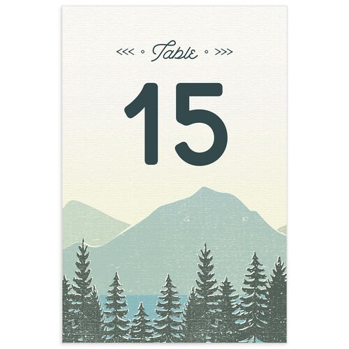 Vintage Mountain Table Numbers