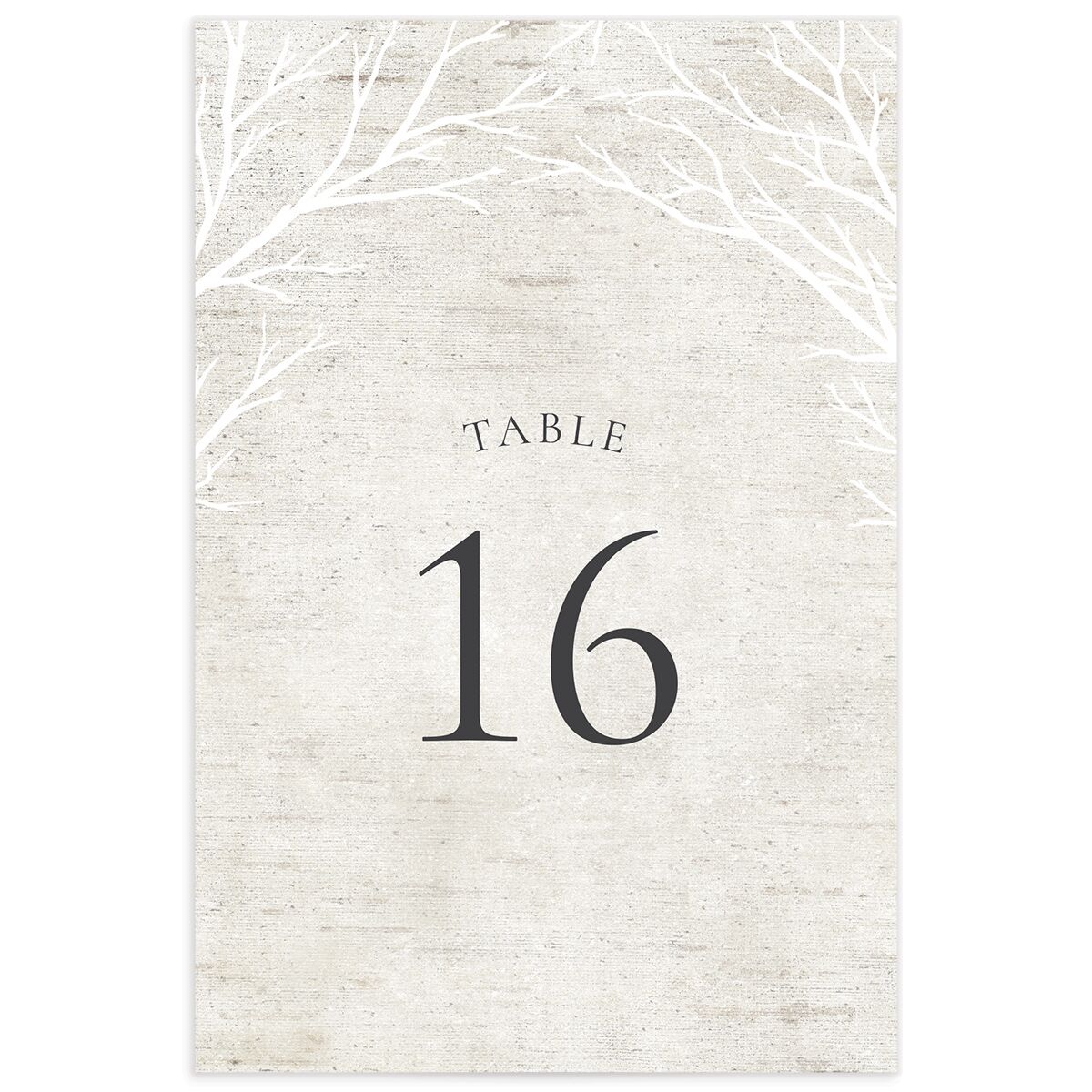 Rustic Birch Table Numbers