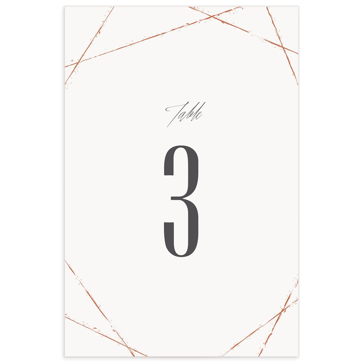 Elegant Industrial Table Numbers front in white