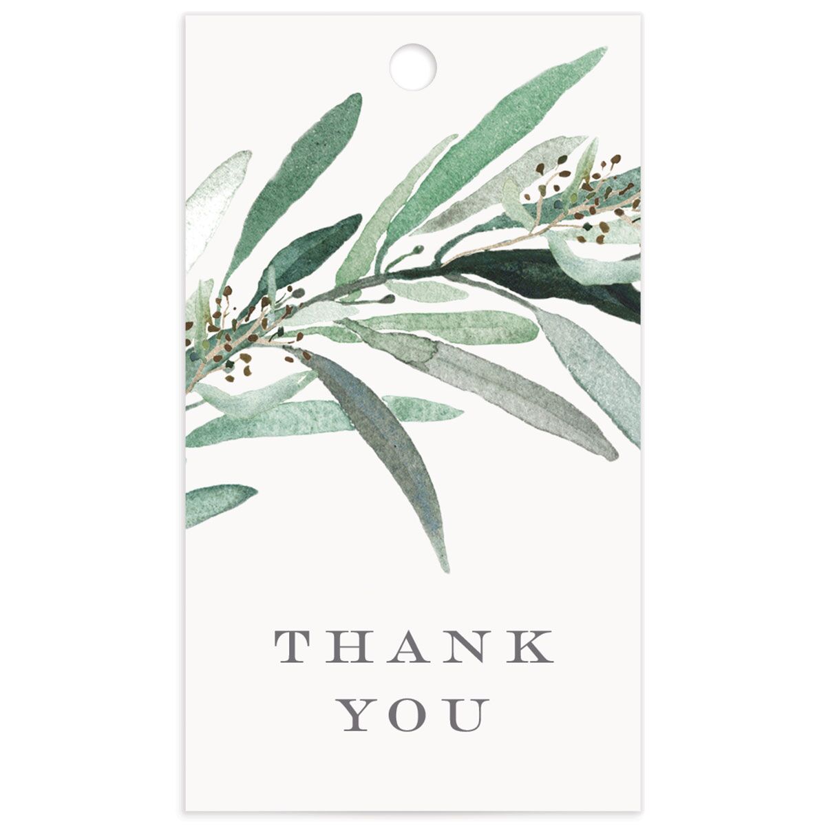Painted Branch Favor Gift Tags back in green