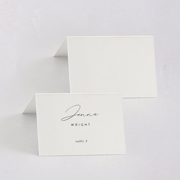 Romantic Minimal Place Cards Snow Signature