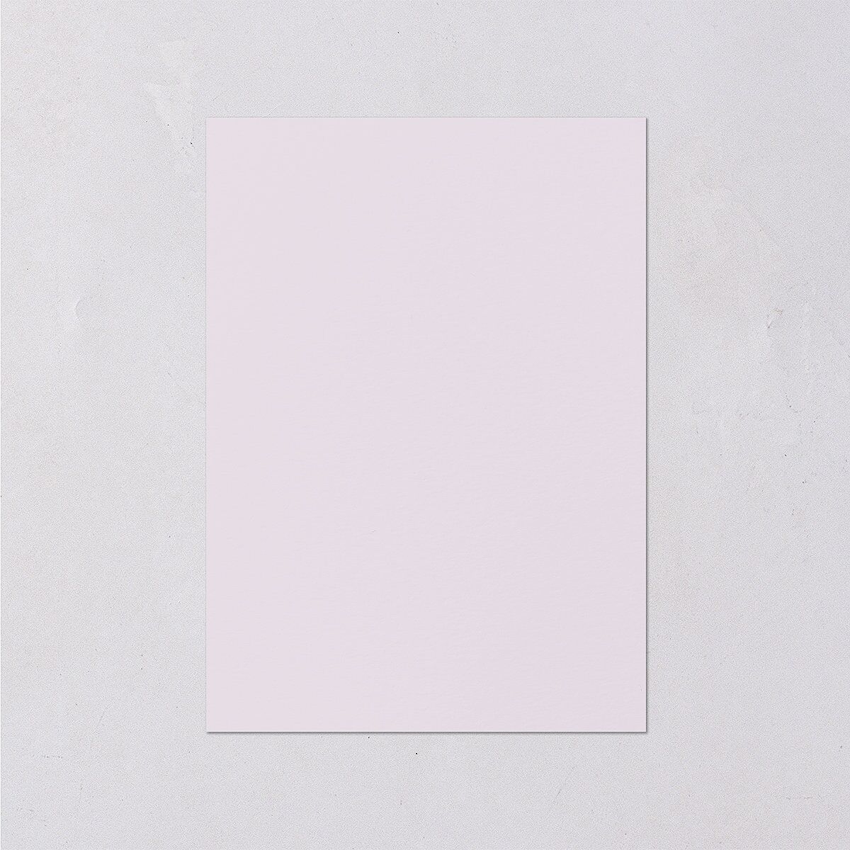 Ethereal Floral Wedding Event Detail Cards Sheer Lilac Signature Standard