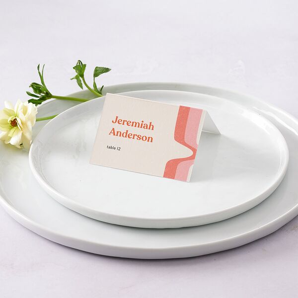 Groovy Lines Place Cards Coral Pink Signature