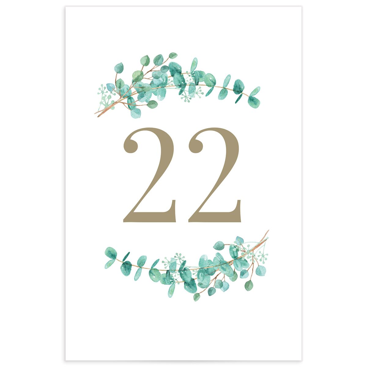 Elegant Eucalyptus Table Numbers