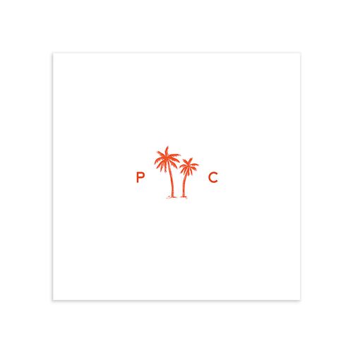 Cabana Stripes Cocktail Napkins Pastel Blue Napkin Uncoined