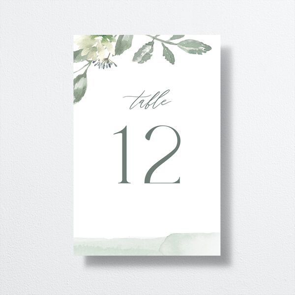 Dusted Calligraphy Table Numbers Sea Foam Signature