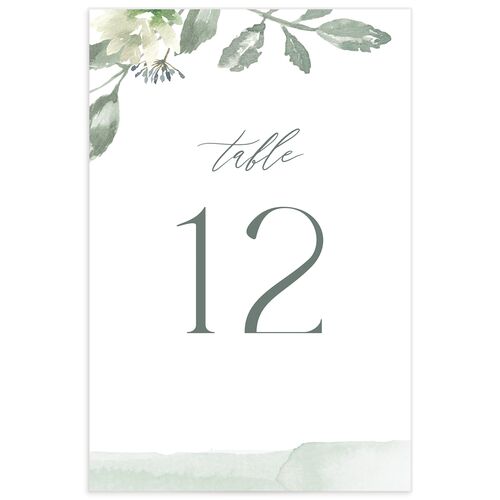 Dusted Calligraphy Table Numbers Sea Foam Signature