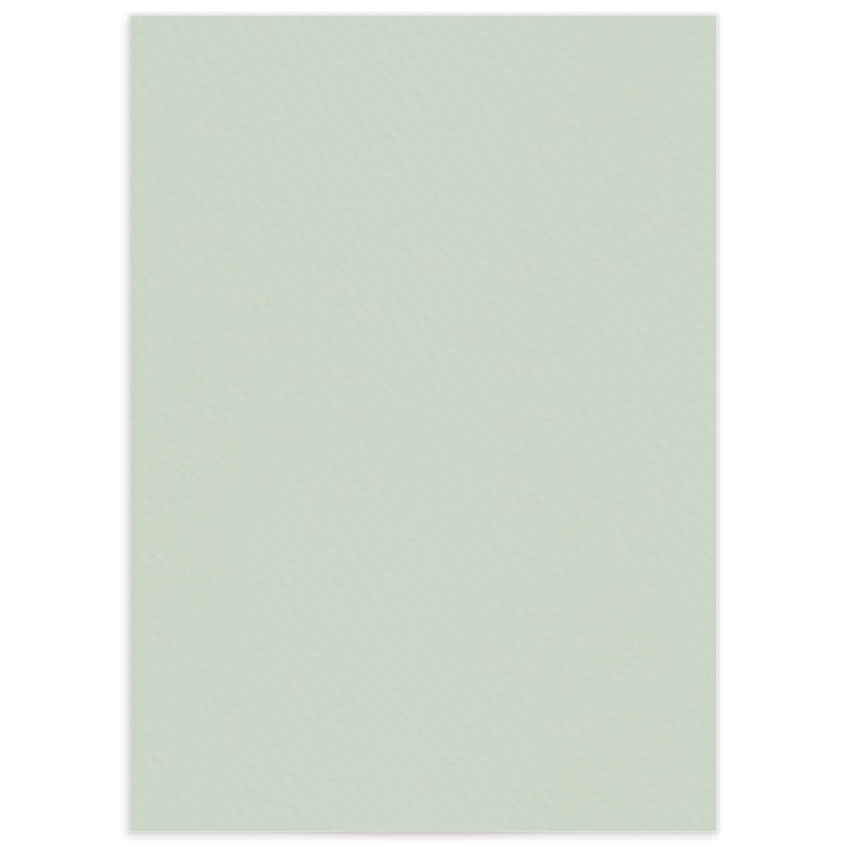 Graceful Botanical Wedding Enclosure Cards back