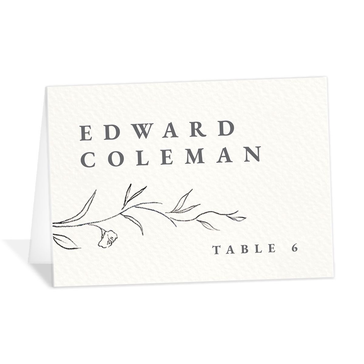 Minimalist Branches Place Cards